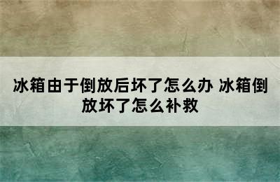 冰箱由于倒放后坏了怎么办 冰箱倒放坏了怎么补救